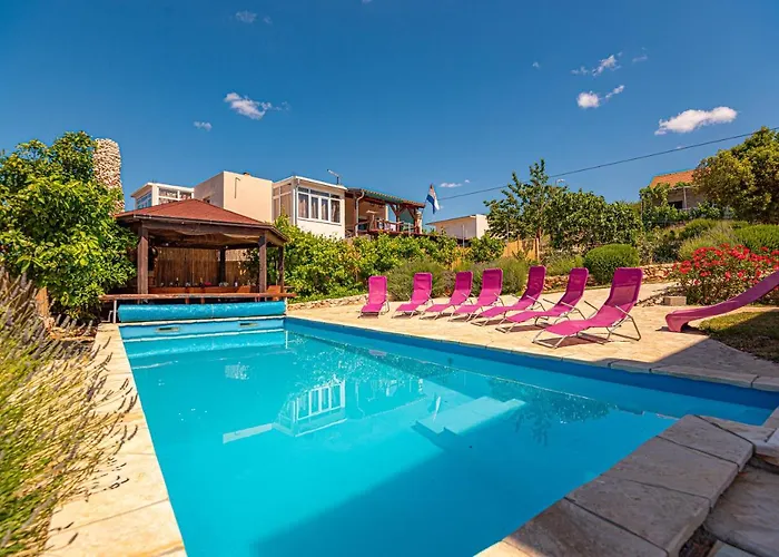 Xxl Lavanda For 16 Person